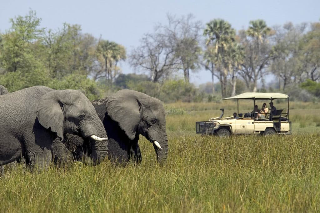 Safaris en África