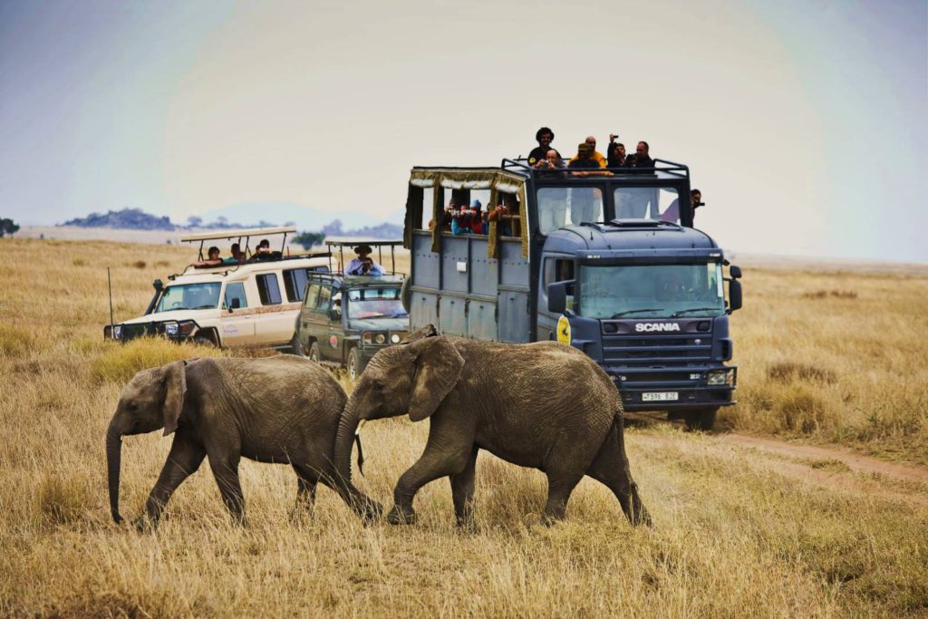 safari-en-camion-tanzania- ratpanat
