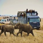 safari-en-camion-tanzania- ratpanat