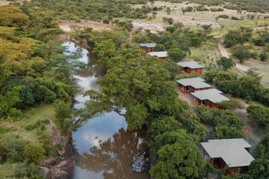 ¿Es seguro hacer un safari en época de COVID?