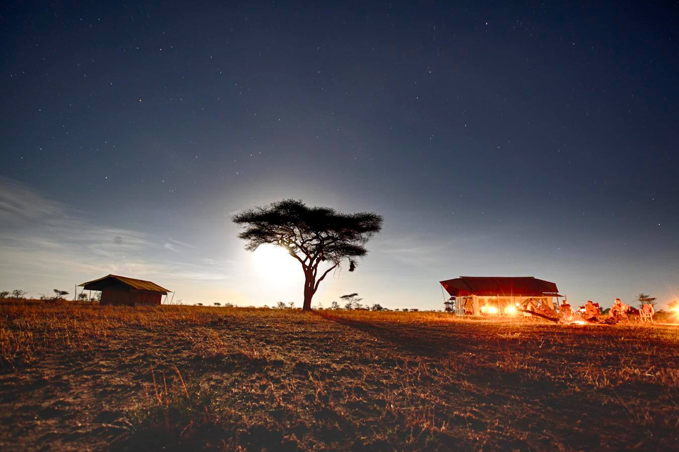 El Serengeti elegido mejor Parque Nacional de Africa
