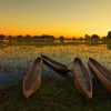 2025: El año ideal para explorar el Delta del Okavango