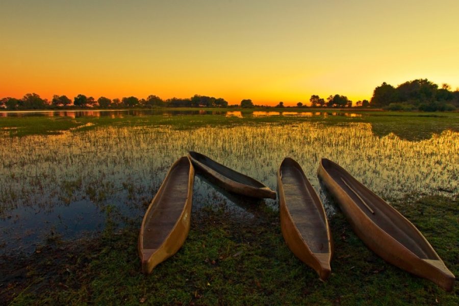 2025: El año ideal para explorar el Delta del Okavango