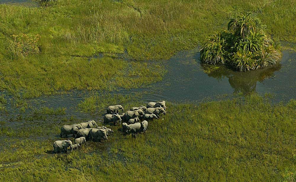 Aerea Delta del Okavango