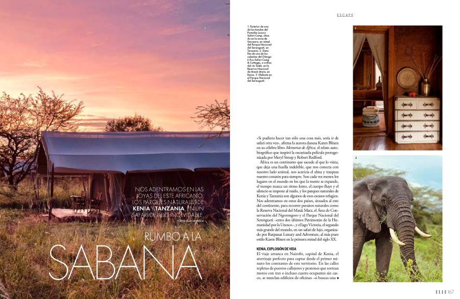 Safari Nyota: el viaje a África del que hablan las revistas (y que se vive de verdad)