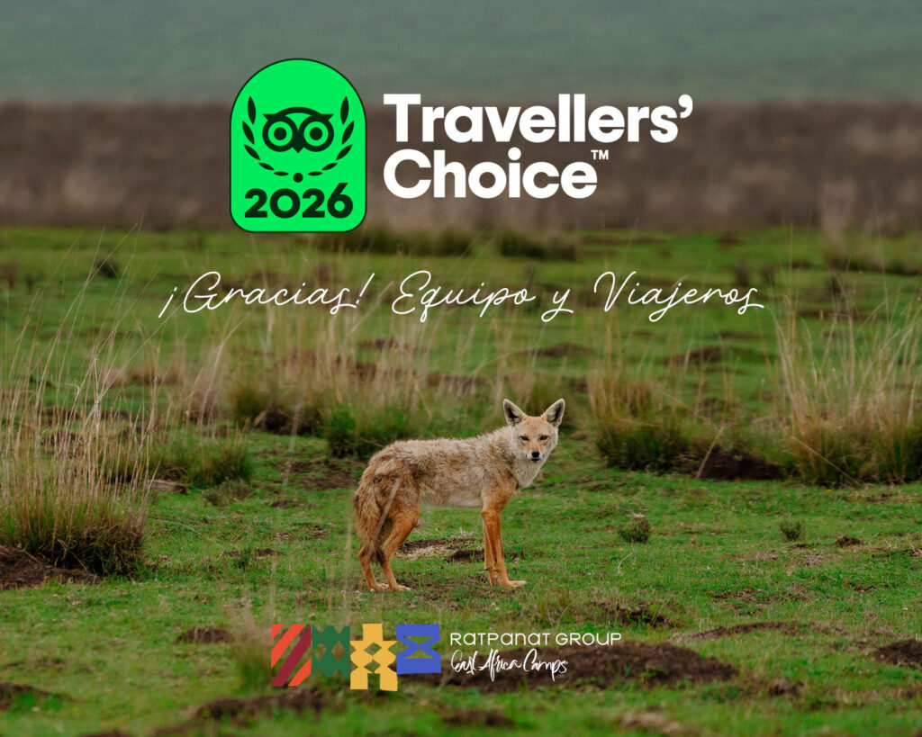Gracias equipo y viajeros, Travellers' Choice 2026 Ratpanat