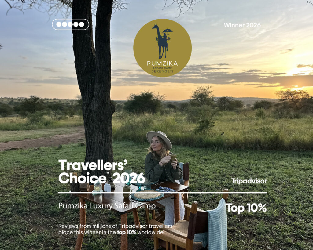 Pumzika Luxury Safari Camp, Travellers' Choice 2026